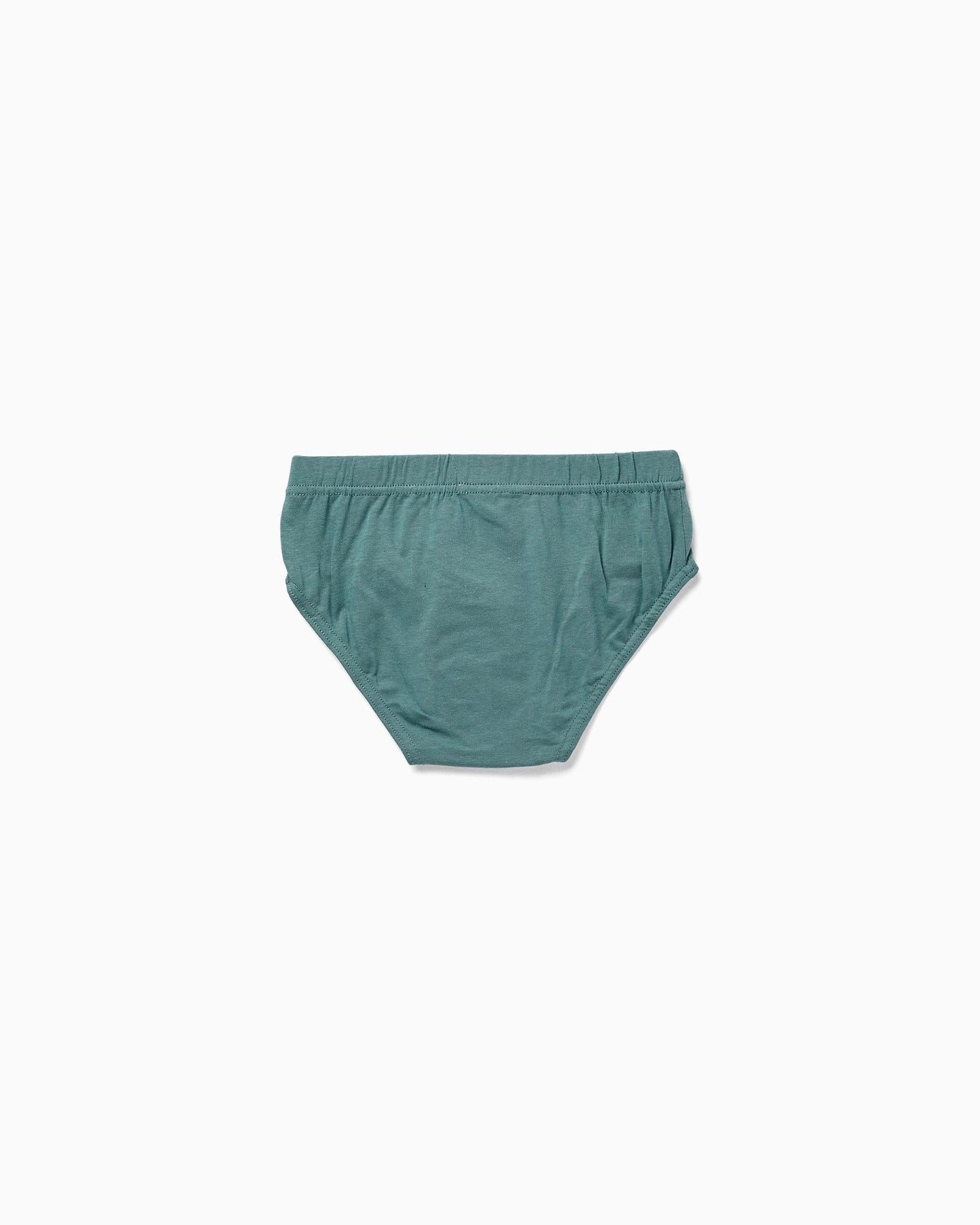 Pack of 5 Cotton Briefs for Boys, Multicolour