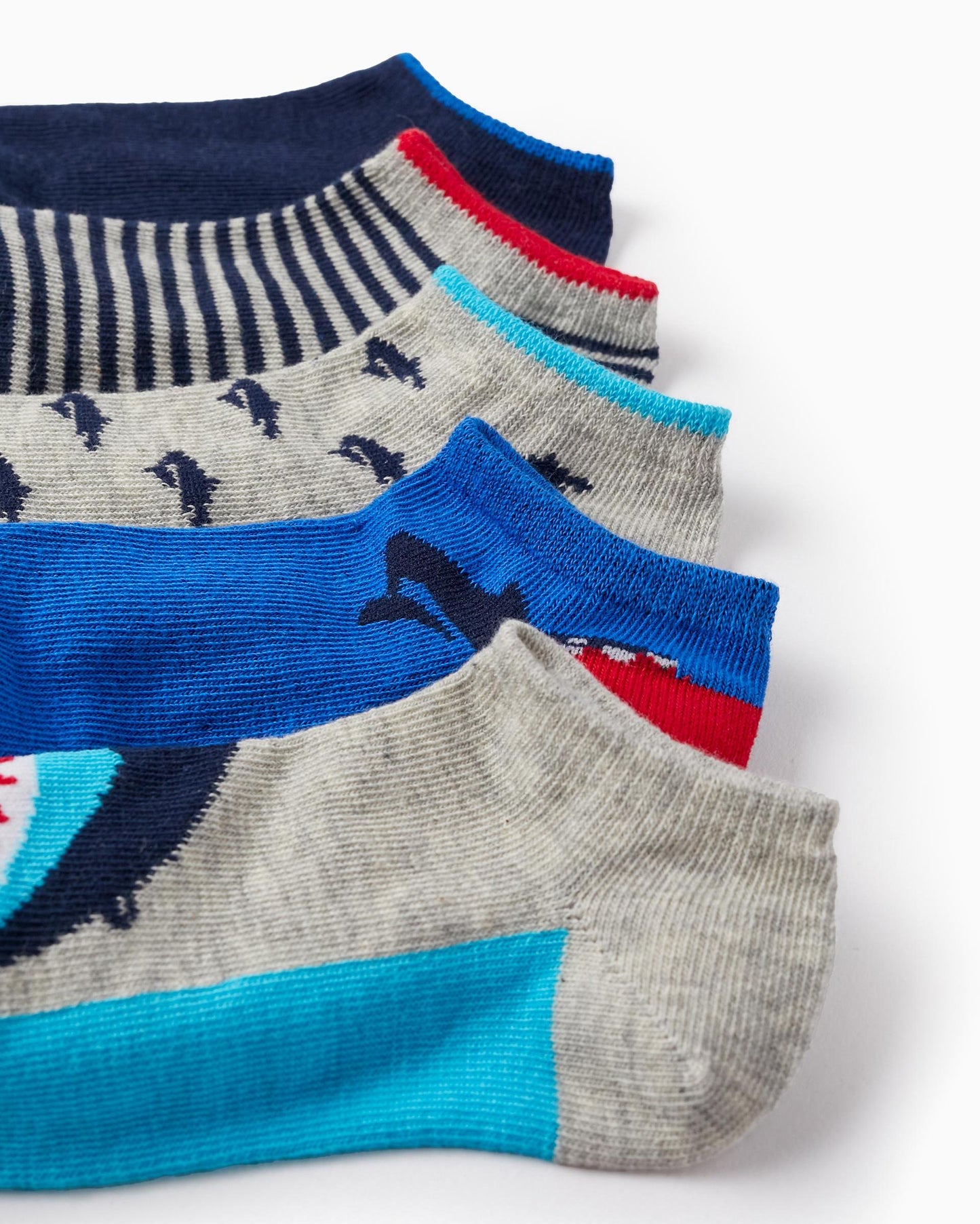 Pack of 5 Pairs of Ankle Socks for Boys 'Shark', Multicolour