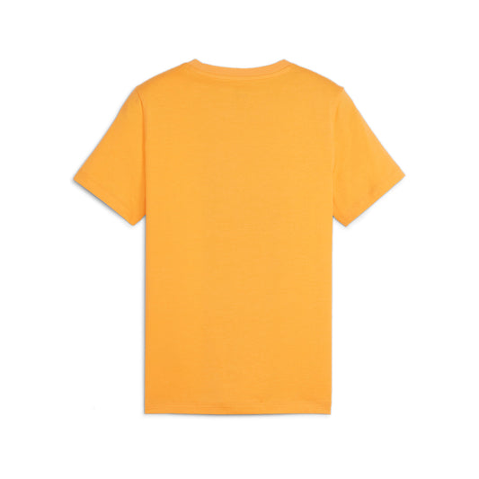 ESS+ MID 90s Graphic Tee B A-SPORTSTYLE KIDS Boys