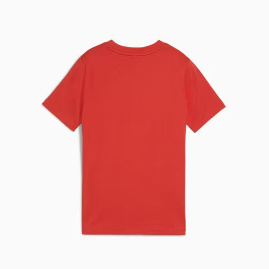 GRAPHICS Tee IV Boys