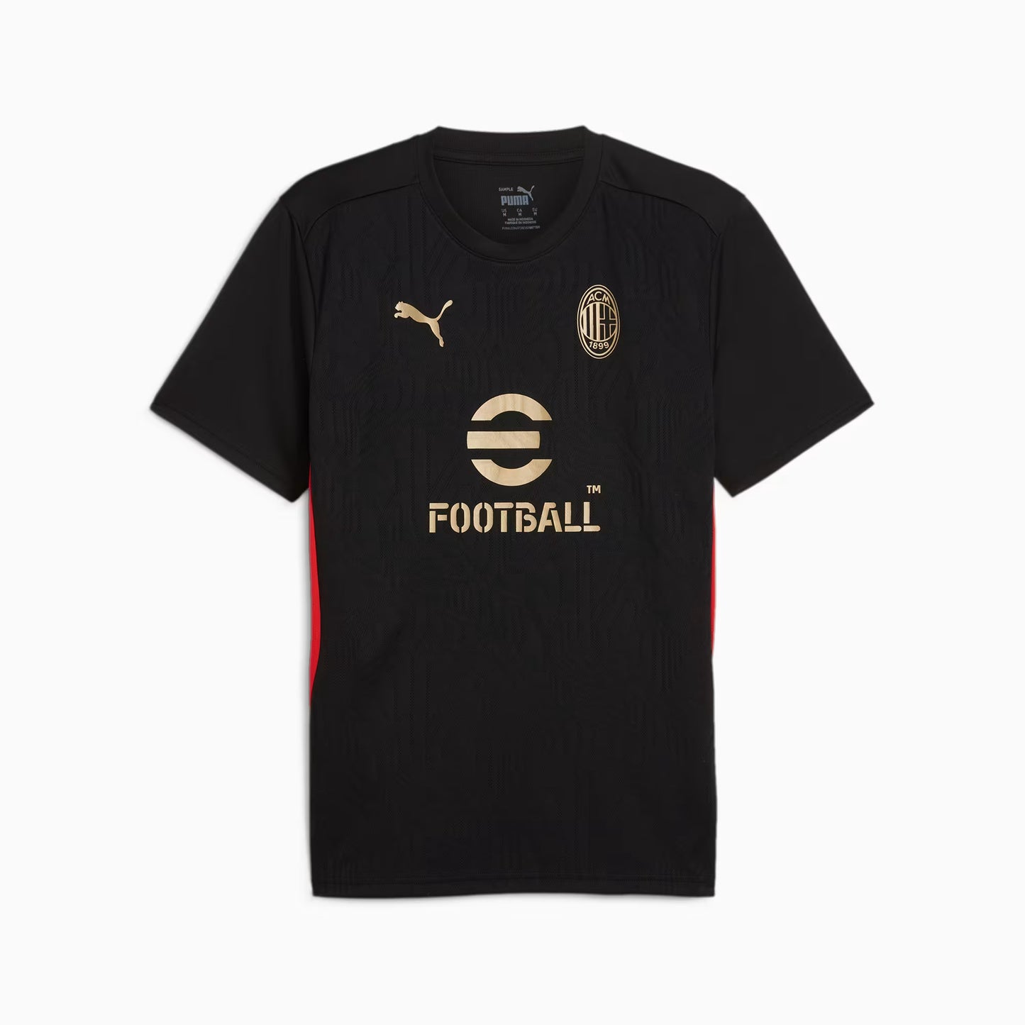 ACM Training Jersey TEAMSPORT Men